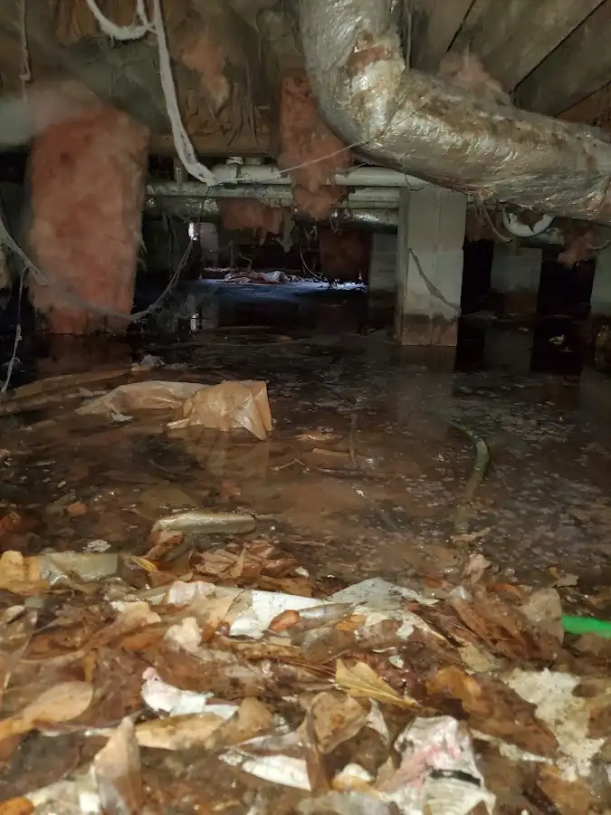 Crawl space flood assessment for Leak Detection & Repair in Gadsden